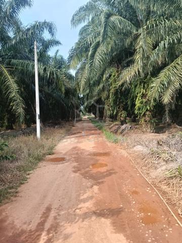 Freehold Agriculture Land For Sale At Sungai Pelek,Sepang,Selangor 1