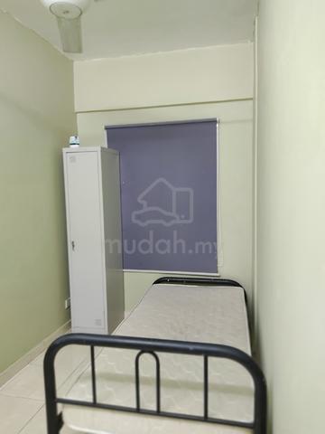 Bilik Sewa Pangsapuri Subang Hijauan 1