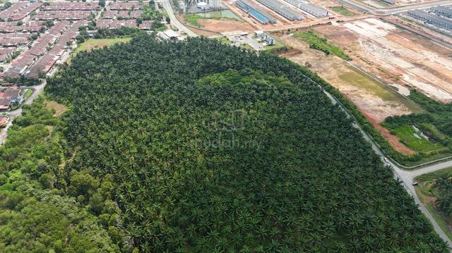 Sungai Petani Zoning Residential Agriculture Land 10.66 Acres 1