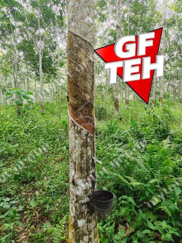 5.03 acres Agricultural Land | Sauk | Perak | For Sale 3.90psf k 3