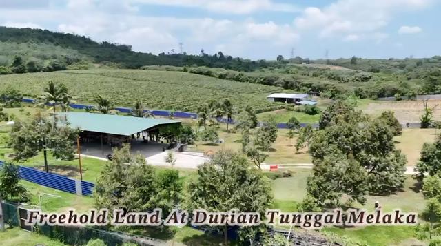 Freehold Agricultural Land at Durian Tunggal, Melaka For Sale 1