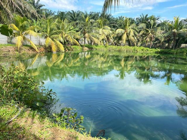 Plentong 10 Acre Agricultural Land Beside Road Natural Pond Rm15 psf 1