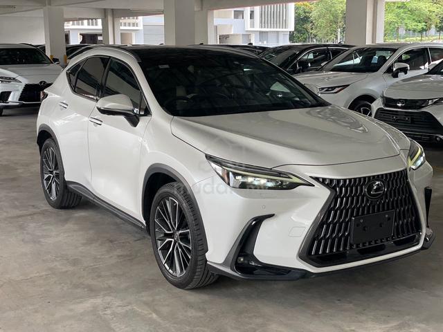 2023 Lexus NX 250 2.5 LUXURY PAN ROOF READY  STOCK - 1