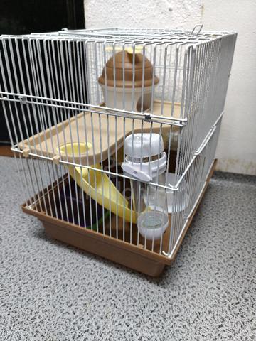 hamster cage - photo 4 of 4