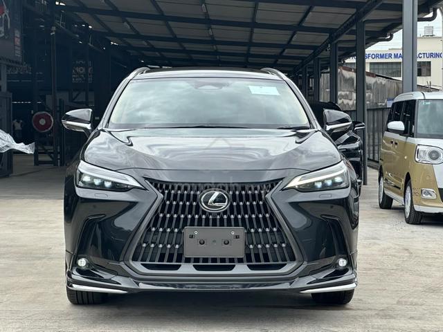2023 Lexus NX 250 2.5 VERSION L (A) MARK LEVINSON - 2