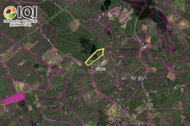 16.06 Acres Oil Palm Plantation For Sale β Ranggu, Tawau 1