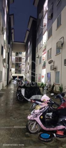 Pokok Mangga ,Kampung Padang Flat 1