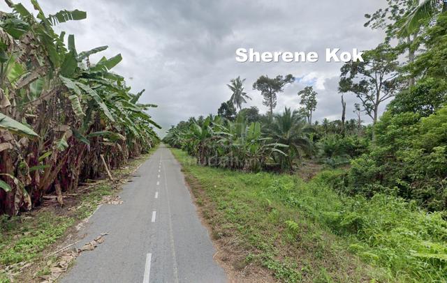 L0054 Agricultural Land Asajaya 1st Lot Sub Main Road 1