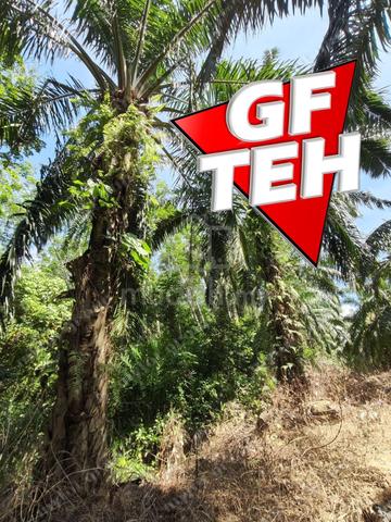 6.85acres Agricultural Land | Lenggong | Perak | Rm3.21psf k 3
