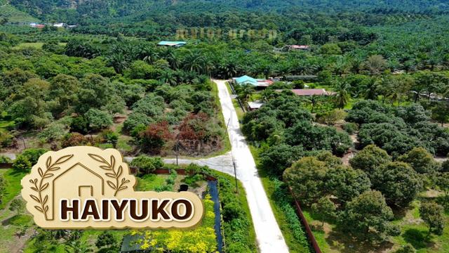 PERAK | 1.29 Acre Agriculture Land for SALE @ TAIPING 1