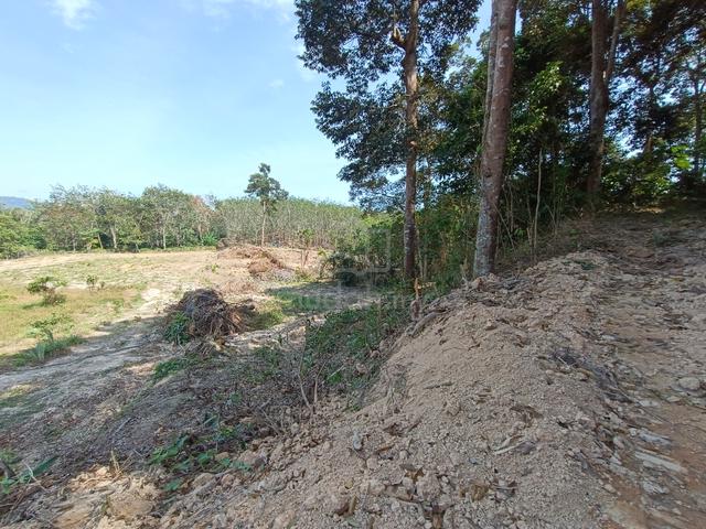2.97 Ekar Tanah Kebun, Kg Durian Tipus, Jelebu 1