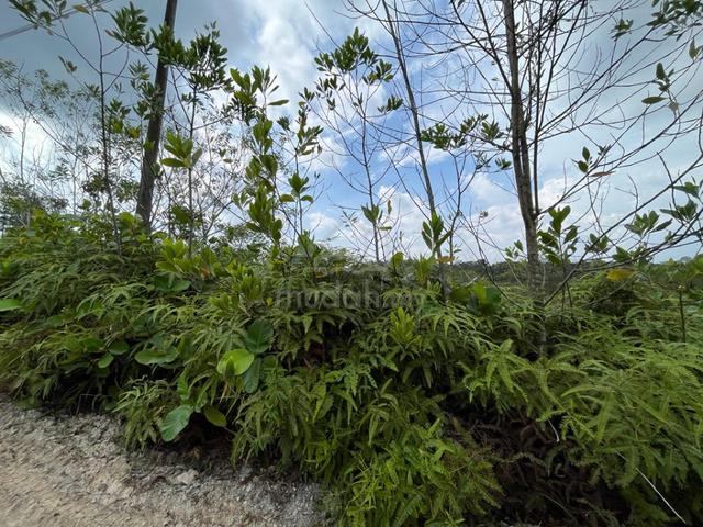 Freehold Lot Tanah Banglo, Sg Buah - Dengkil /Sepang 5