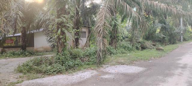 Tanah Untuk Dijual 1
