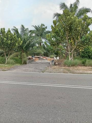 Tanah Tepi Jalan International Lot Freehold Kg Sungai Karang 1