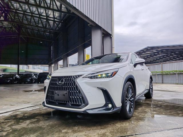 2023 Lexus NX250 2.5 BASE GRADE (A) GRADE 4.5B - 3
