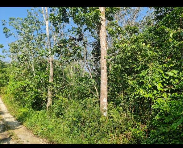 FLAT/FH NON BUMI😊 2.07 ac behind LATEX KPG PAK DOLAH near KMTG TOLL 3