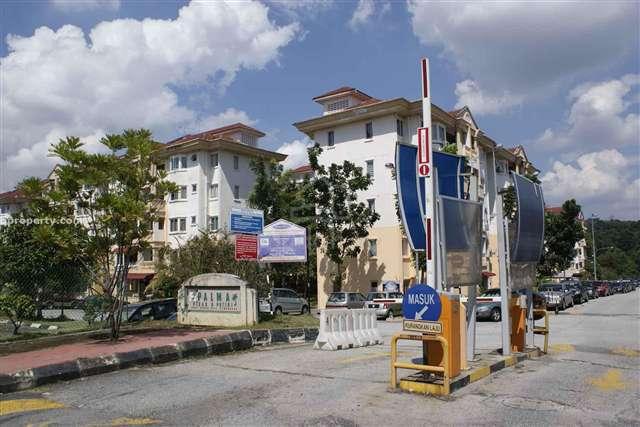 Palma Perak 1