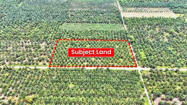 Agricultural Land - Sekinchan, Sabak Bernam, Selangor 1