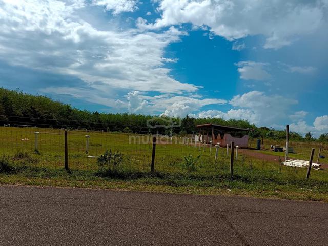 Tanah Kebun Tepi Jalan 1