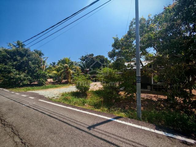 Tanah sawit muda Dan atas tanah ada RUMAH 1