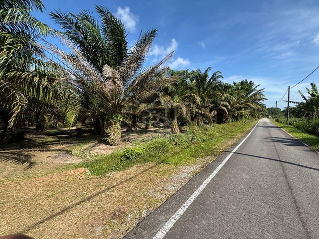 TANAH PERTANIAN Tepi Jalan : Kampung Keluarga Bahagia 1