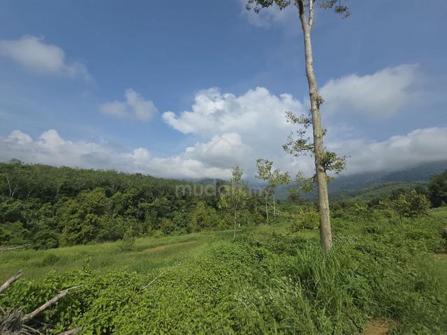 Kuala Kangsar / Agricultural Land For Sale / FREEHOLD / 4.86 Acres 1