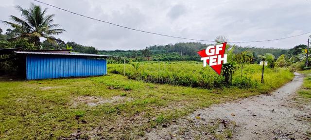 5.8 acre Agricultural Land | 770m from main road| Kuala Kangsar |Perak 1