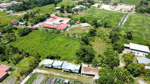 For Sale / Agriculture Land @ Tuaran 1
