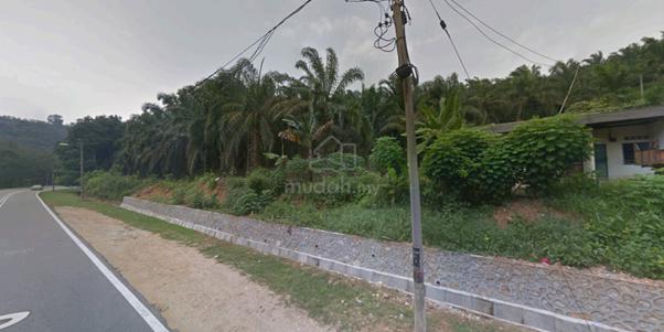 LAND for SALE – Palm Oil Plantation in Johol, Kuala Pilah, N. Sembilan 2