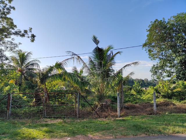 Freehold Non Bumi Land Kg Baru Linsum Rantau Seremban For Sale 1