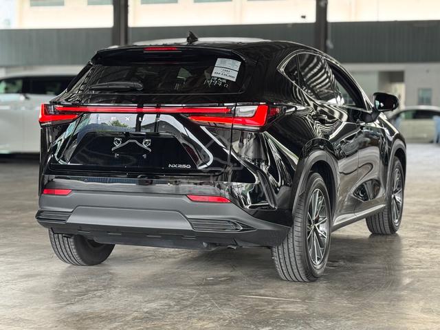 2023 Lexus NX250 Version L 2.5 / Rear Elec Seat - 4
