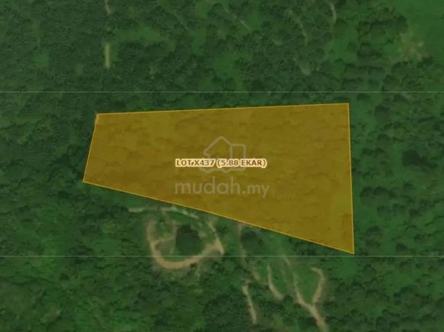Tanah Dusun 5.88 Ekar Di Kampung Hulu Temau, Raub. Durian & Dokong.