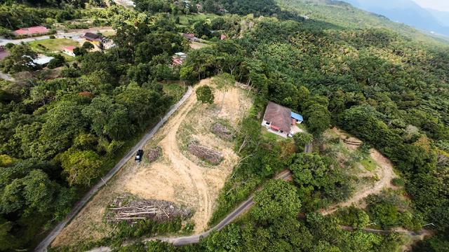land for sale near pedas 1