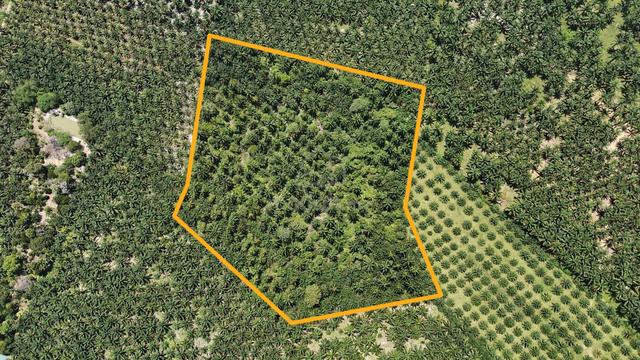 FREEHOLD BIG INT’L LAND 10 ac Kangkar Senangar, Pt Sulong, Batu Pahat 1