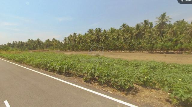 Perpetuity Land at Sadong Jaya, Asajaya, Simunjan, Kuching 1