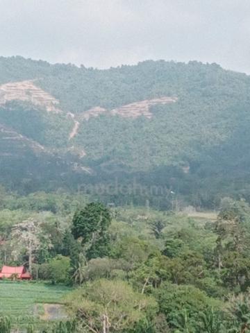 Tanah Atas Bukit Pemandangan Yang Cantik 1