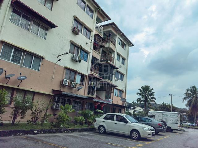 Sri Anggerik 2 5