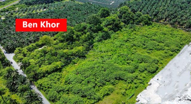 3.92 Acres| Residential Land |Roadside Land | Simpang Ampat | PENANG 1