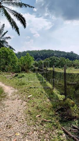 Mukim Tanjong Tualang for sale 1