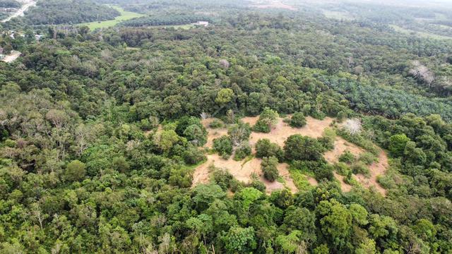 Agricultural Land Second Lot from Main Road to Gebeng industrial area. 3