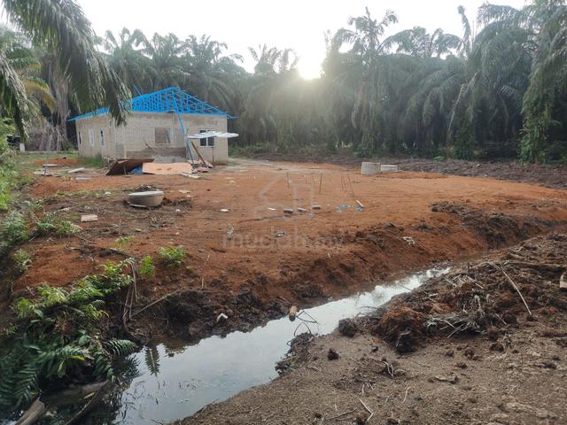 Tanah sawit di bandar baharu Kedah 1