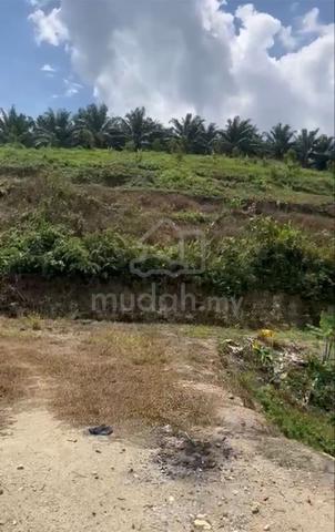Durian Tree Land/Negeri Sembilan/ Kuala Pilah, Jempol/ 15 acres 1