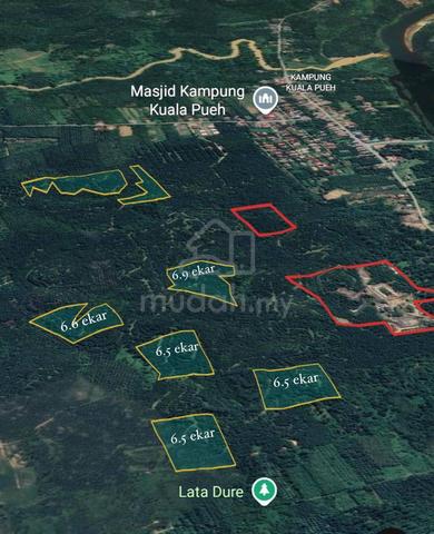 Kebun Sawit 12 ekar nak jual segera 1