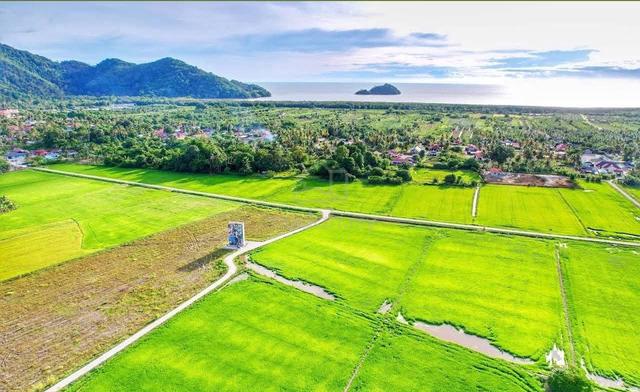 Nice Bungalow Lot For Sale Penang 1