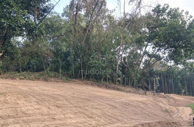 Land for rent (c/w containers) 1