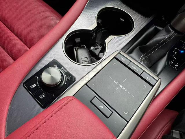 2021 Lexus RX300 F SPORT 2.0L (A) - 5