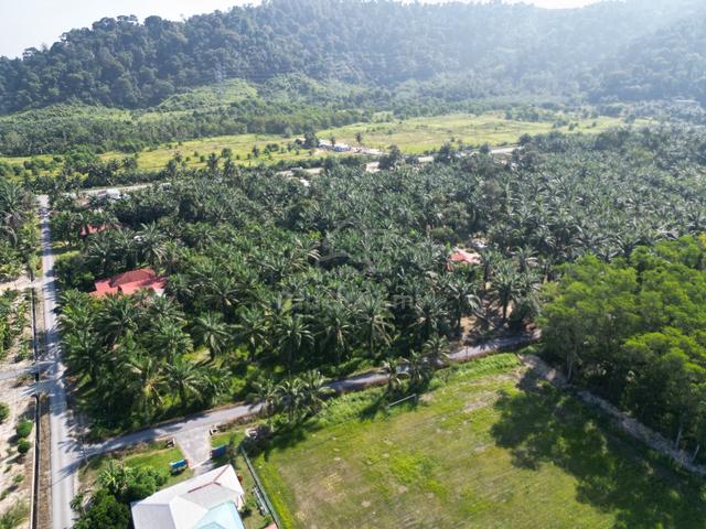 Tanah Pertanian Zoning Bangunan Gunung Tunggal Pengkalan Baharu Perak 1