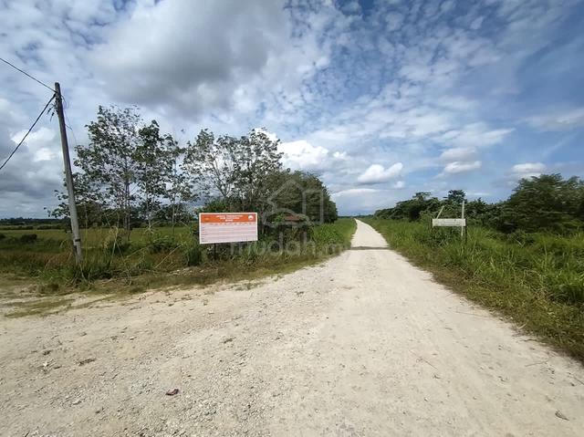 Tanah Sawah Mukim Ganchong, Pekan. 1