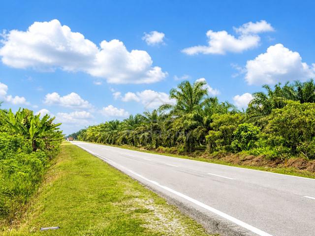 6.356Acres @ Pontian Parit Sikom @ Agriculture Land For Sales 1
