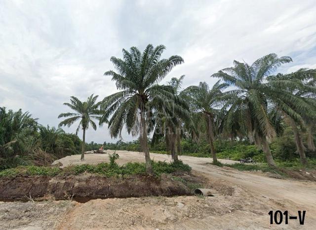 BESIDE ROAD !! 2.11 ACRES !! Sijangkang Utama Agriculture Land Telok 1